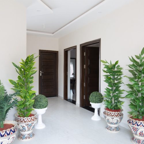 WhatsApp Image 2024-09-18 at 16.26.39 (1)